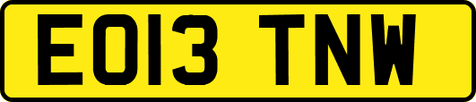 EO13TNW