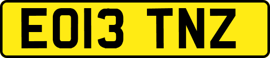 EO13TNZ