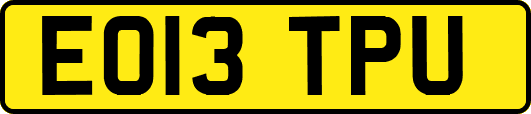 EO13TPU