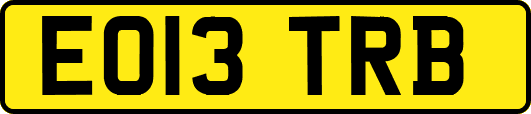 EO13TRB