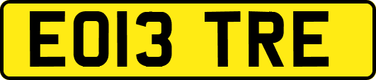 EO13TRE