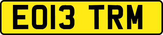 EO13TRM