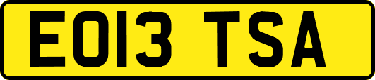 EO13TSA