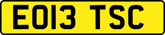 EO13TSC