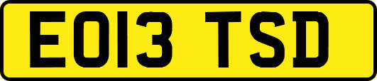 EO13TSD