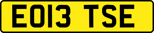 EO13TSE