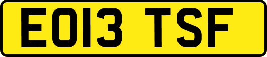 EO13TSF