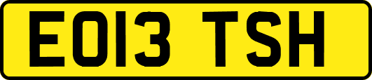 EO13TSH