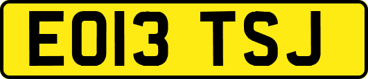 EO13TSJ