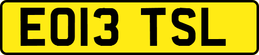 EO13TSL
