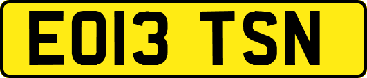 EO13TSN