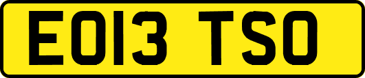 EO13TSO