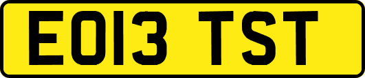 EO13TST