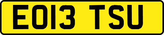 EO13TSU