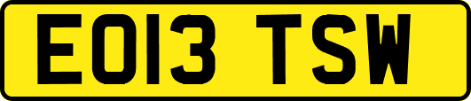 EO13TSW