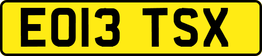EO13TSX