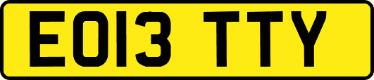 EO13TTY