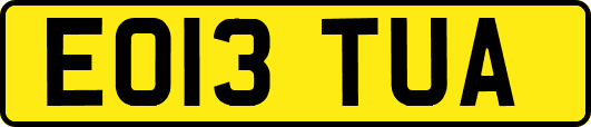EO13TUA