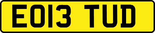 EO13TUD