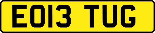 EO13TUG