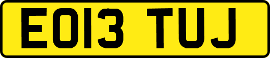 EO13TUJ