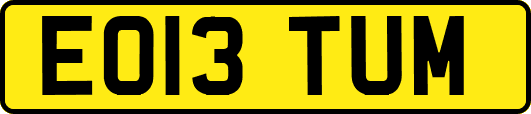 EO13TUM