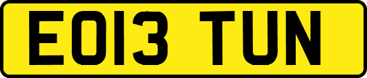 EO13TUN