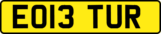 EO13TUR