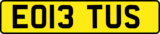 EO13TUS