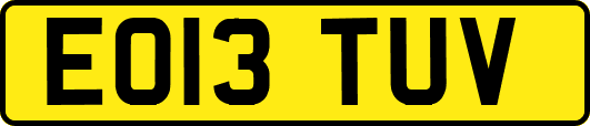 EO13TUV