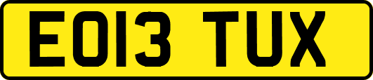 EO13TUX