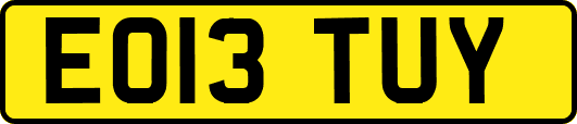 EO13TUY