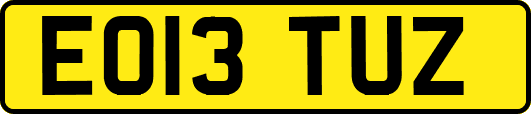 EO13TUZ