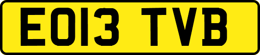 EO13TVB
