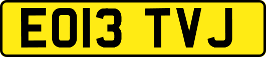 EO13TVJ