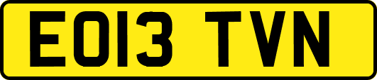 EO13TVN