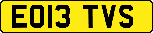 EO13TVS