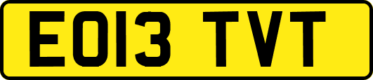 EO13TVT