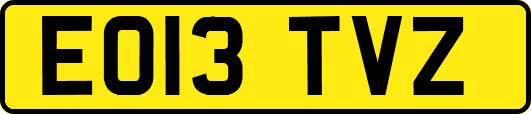 EO13TVZ