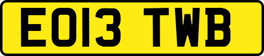 EO13TWB