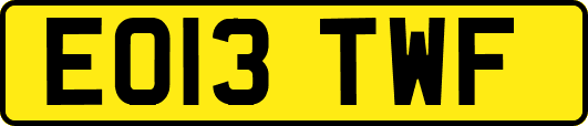 EO13TWF
