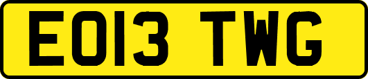 EO13TWG