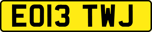 EO13TWJ