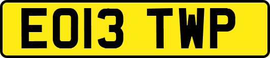 EO13TWP