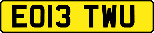 EO13TWU