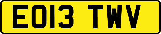 EO13TWV