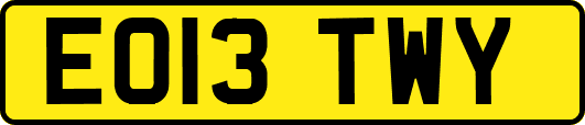 EO13TWY