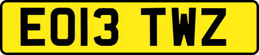 EO13TWZ