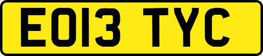 EO13TYC