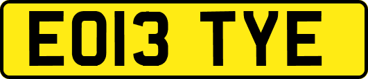 EO13TYE